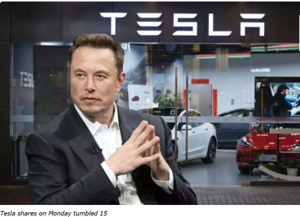 Elon Musk Under Siege